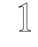 RONIX_LOGO_130